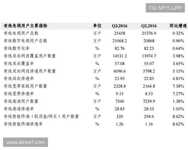 重庆排球队技术分析与战术创新的深度探讨与展望